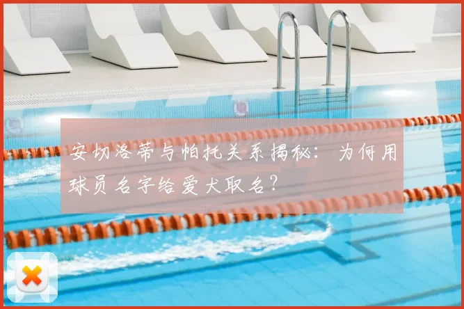 安切洛蒂与帕托关系揭秘:为何用球员名字给爱犬取名?