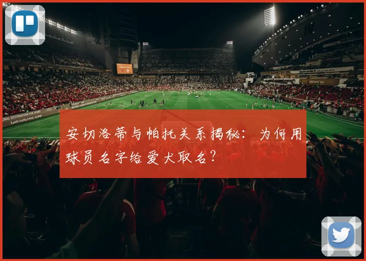 安切洛蒂与帕托关系揭秘：为何用球员名字给爱犬取名？